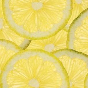 輸入壁紙 カスタム壁紙 PHOTOWALL / Sliced Lemons (e20754)