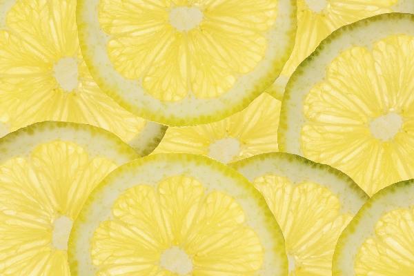輸入壁紙 カスタム壁紙 PHOTOWALL / Sliced Lemons (e20754)