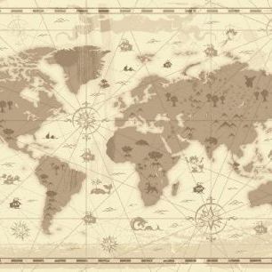 輸入壁紙 カスタム壁紙 PHOTOWALL / World Map - Styled (e21247)