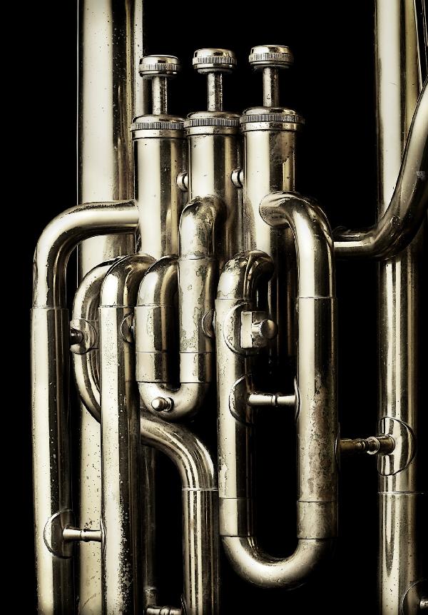 輸入壁紙 カスタム壁紙 PHOTOWALL / Brass Horn - Tuba (e21333)