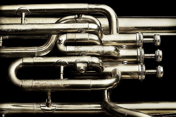 輸入壁紙 カスタム壁紙 PHOTOWALL / Brass Horn (e21401)