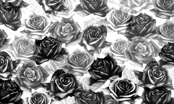 輸入壁紙 カスタム壁紙 PHOTOWALL / My Black Roses (e21650)