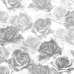 輸入壁紙 カスタム壁紙 PHOTOWALL / My Grey Roses (e21651)
