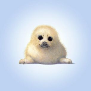 輸入壁紙 カスタム壁紙 PHOTOWALL / Seal Pup (e21697)