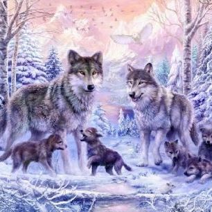 輸入壁紙 カスタム壁紙 PHOTOWALL / Winter Wolf Family (e21741)