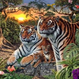 輸入壁紙 カスタム壁紙 PHOTOWALL / Hidden Images - Tigers (e21743)