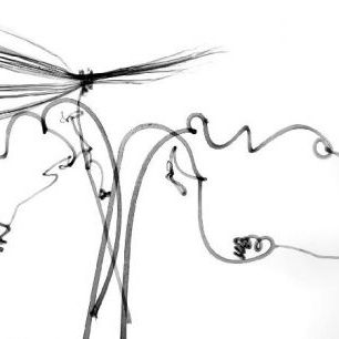 輸入壁紙 カスタム壁紙 PHOTOWALL / Dragonfly (e21801)