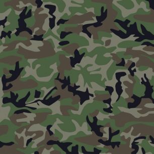 輸入壁紙 カスタム壁紙 PHOTOWALL / Camouflage (e2012)