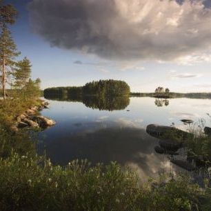 輸入壁紙 カスタム壁紙 PHOTOWALL / Swedish Summer Landscape (e19699)