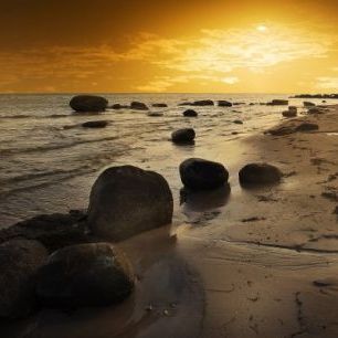 輸入壁紙 カスタム壁紙 PHOTOWALL / Golden Beach Sunset (e20310)