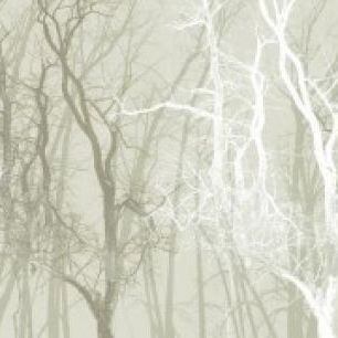 輸入壁紙 カスタム壁紙 PHOTOWALL / Wander Trees Sepia (e21777)