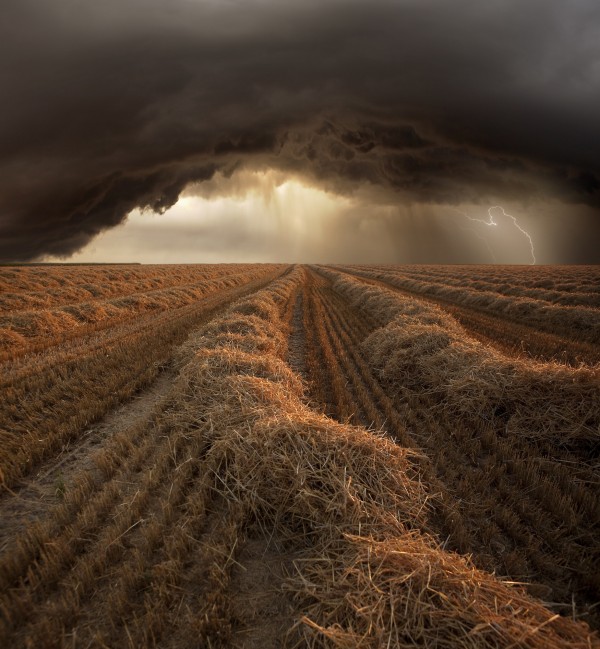 輸入壁紙 カスタム壁紙 PHOTOWALL / Stormy Fields (e22450)