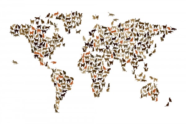 輸入壁紙 カスタム壁紙 PHOTOWALL / Cats World Map (e22699)