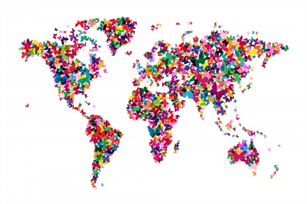 輸入壁紙 カスタム壁紙 PHOTOWALL / Butterflies World Map Multicolor (e22700)