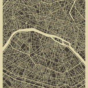 輸入壁紙 カスタム壁紙 PHOTOWALL / City Map - Paris (e22761)