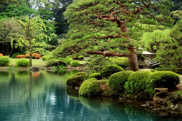 輸入壁紙 カスタム壁紙 PHOTOWALL / Calm Zen Lake and Bonzai Trees