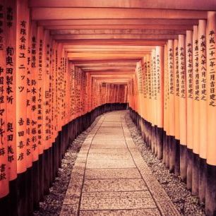輸入壁紙 カスタム壁紙 PHOTOWALL / Historical Kyoto Gates injapan (e22821)