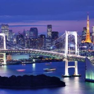 輸入壁紙 カスタム壁紙 PHOTOWALL / Rainbow Bridge and Tokyo Tower (e22844)