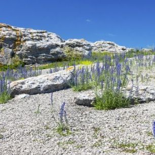輸入壁紙 カスタム壁紙 PHOTOWALL / Rock Landscape in Gotland (e22859)