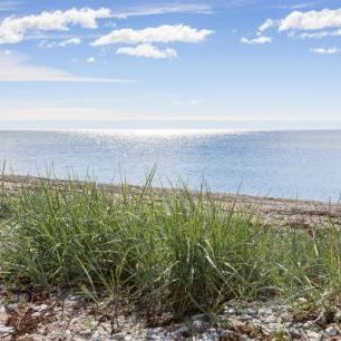 輸入壁紙 カスタム壁紙 PHOTOWALL / Gotland Beach (e22863)