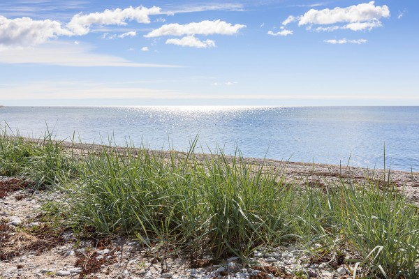 輸入壁紙 カスタム壁紙 PHOTOWALL / Gotland Beach (e22863)