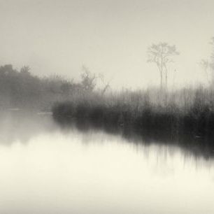輸入壁紙 カスタム壁紙 PHOTOWALL / Lake and Trees (e22951)