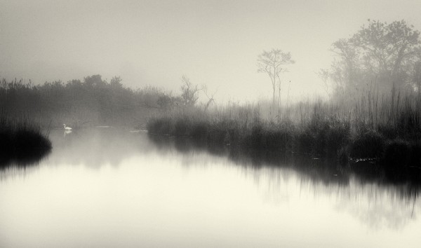 輸入壁紙 カスタム壁紙 PHOTOWALL / Lake and Trees (e22951)