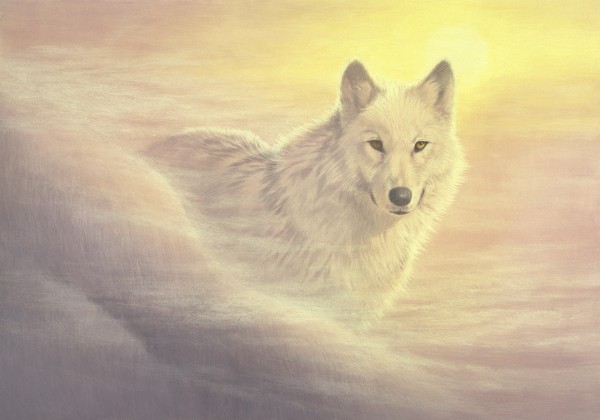 輸入壁紙 カスタム壁紙 PHOTOWALL / Mystic Wolf (e22990)