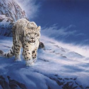 輸入壁紙 カスタム壁紙 PHOTOWALL / Snow Leopard (e22991)