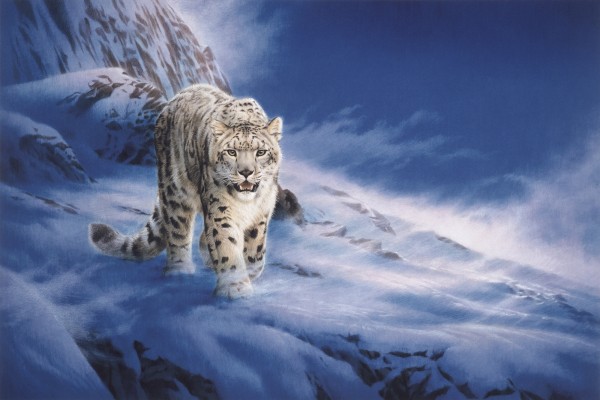 輸入壁紙 カスタム壁紙 PHOTOWALL / Snow Leopard (e22991)
