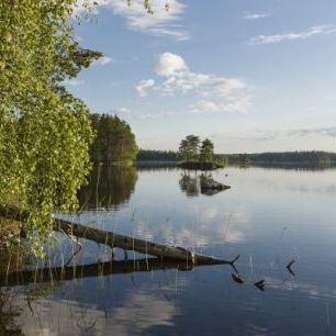 輸入壁紙 カスタム壁紙 PHOTOWALL / Swedish Lake Landscape (e23104)