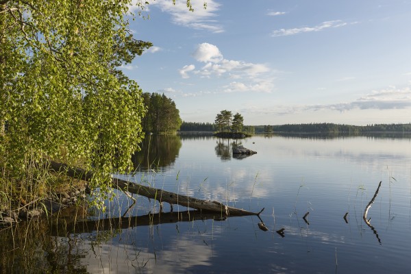 輸入壁紙 カスタム壁紙 PHOTOWALL / Swedish Lake Landscape (e23104)