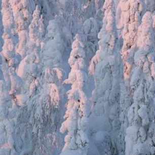 輸入壁紙 カスタム壁紙 PHOTOWALL / Lapland Winter Landscape (e23111)