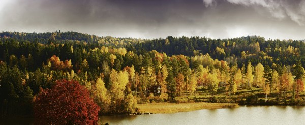 輸入壁紙 カスタム壁紙 PHOTOWALL / Autumn colored Landscape in Sweden (e23164)