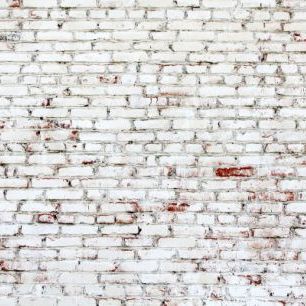 輸入壁紙 カスタム壁紙 PHOTOWALL / Old Brick Wall with white and red bricks (e23184)