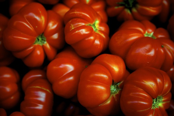 輸入壁紙 カスタム壁紙 PHOTOWALL / Italian Tomatoes - Jorge B. Garrido (e23280)