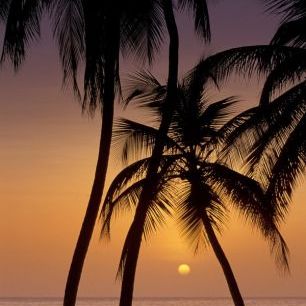 輸入壁紙 カスタム壁紙 PHOTOWALL / Caribbean Sunset (e23511)