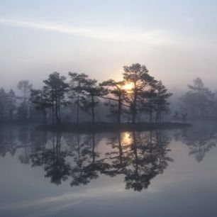 輸入壁紙 カスタム壁紙 PHOTOWALL / Enchanting Mist (e23523)