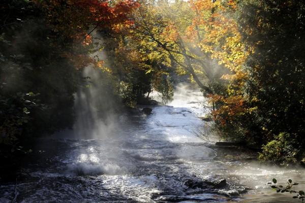 輸入壁紙 カスタム壁紙 PHOTOWALL / Waterfall with Autumn Colors (e23587)