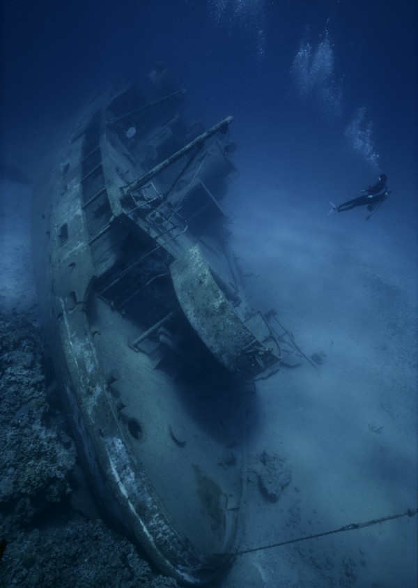輸入壁紙 カスタム壁紙 PHOTOWALL / Shipwreck and Diver (e23592)