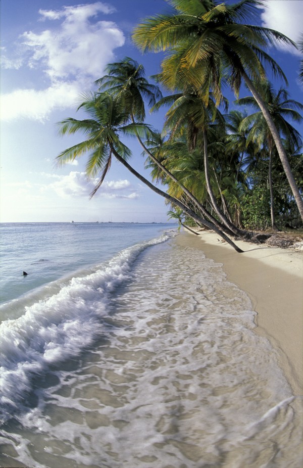 輸入壁紙 カスタム壁紙 PHOTOWALL / Tropical Seashore (e23618)