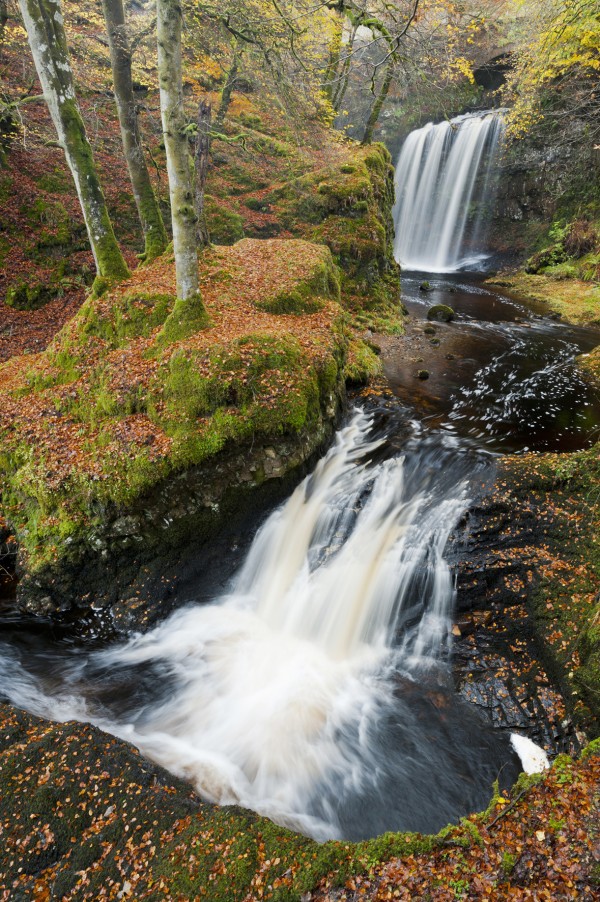 輸入壁紙 カスタム壁紙 PHOTOWALL / Waterfalls and Red Leaves (e23634)
