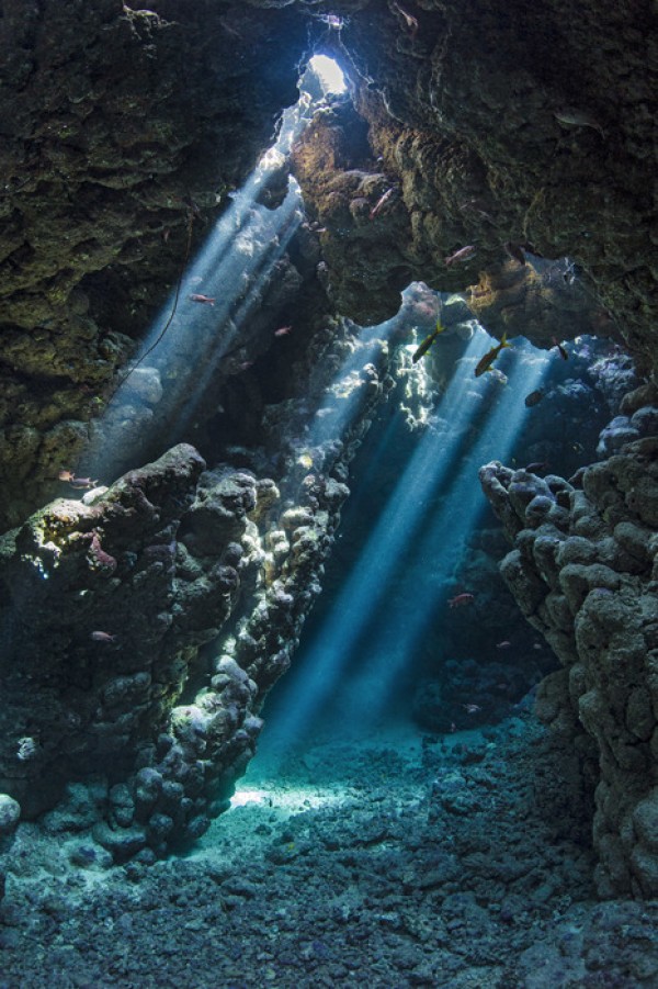 輸入壁紙 カスタム壁紙 PHOTOWALL / Underwater Cavern (e23671)