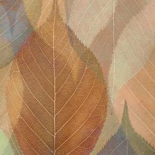 輸入壁紙 カスタム壁紙 PHOTOWALL / Autumn Leaf Pattern (e23715)
