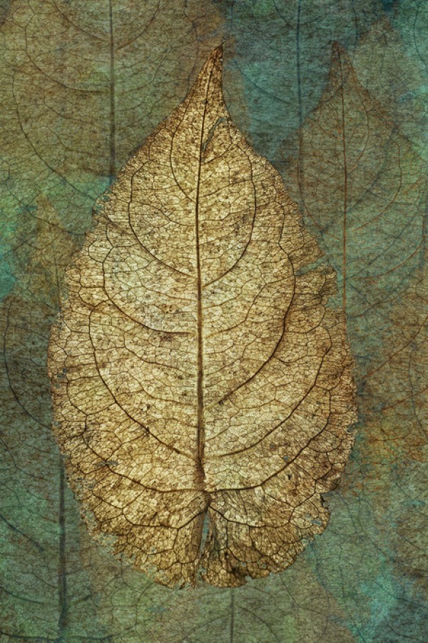 輸入壁紙 カスタム壁紙 PHOTOWALL / Golden Copper Leaf (e23723)