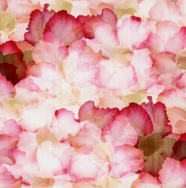 輸入壁紙 カスタム壁紙 PHOTOWALL / Desert Rose Petals (e40192)
