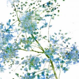 輸入壁紙 カスタム壁紙 PHOTOWALL / Blue Flower Blossom (e40172)