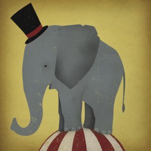 輸入壁紙 カスタム壁紙 PHOTOWALL / Circus Elephant (e23849)