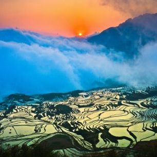 輸入壁紙 カスタム壁紙 PHOTOWALL / Sunrise over Terraced Rice Fields (e24027)