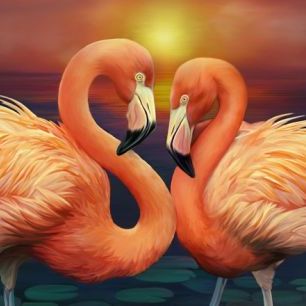 輸入壁紙 カスタム壁紙 PHOTOWALL / Flamingos in Love (e24126)